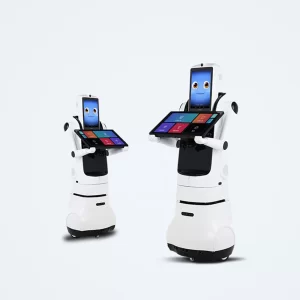 Industrial-Robot-X2-pro